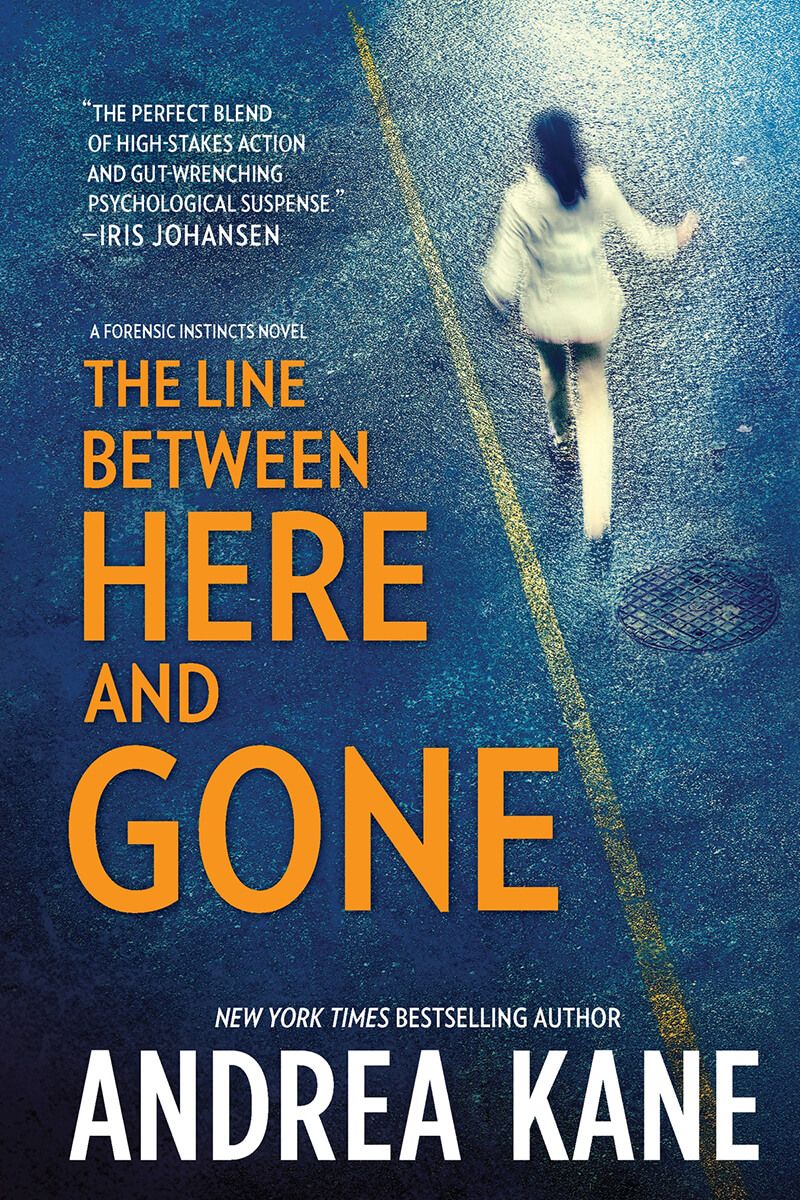 Andrea Kane - The Line Between Here and Gone Cover Image